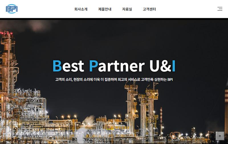 BPI 홈페이지 화면