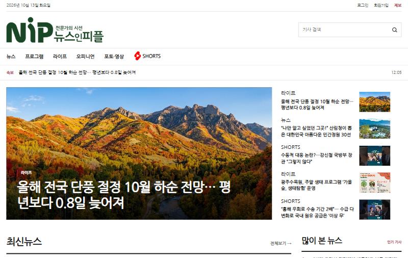 뉴스인피플 홈페이지